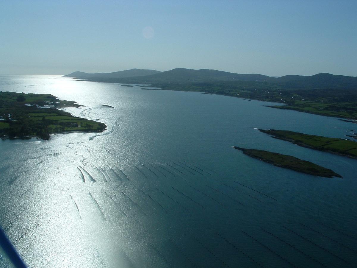 Blairscove House & Restaurant Hotel Durrus Exterior foto